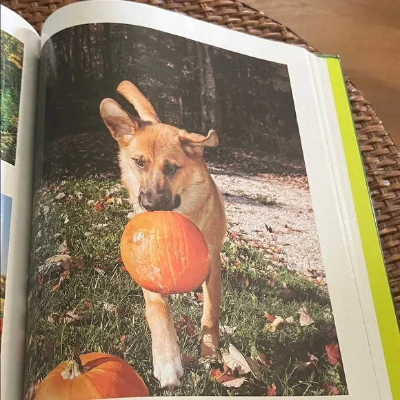 #0969**Sunflower Themed Home Accent Book - Picture 13 of 14